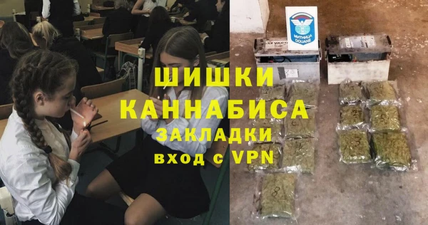 дживик Богородск