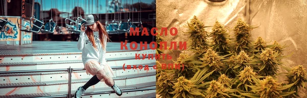 дживик Богородск