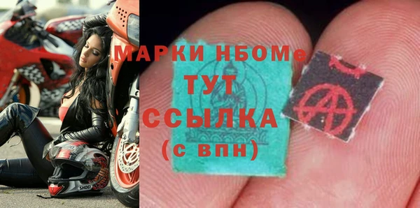 хмурый Богородицк