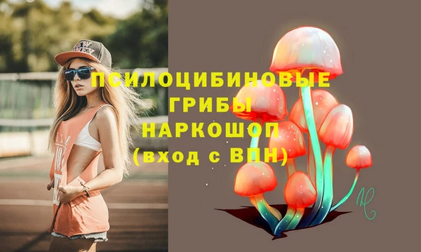 наркотики Бородино