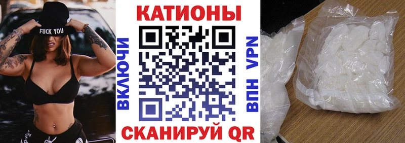 МЯУ-МЯУ мяу мяу Ессентукская