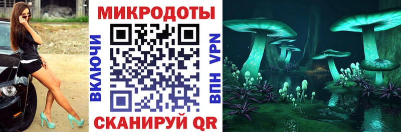 Галлюциногенные грибы Psilocybe Ессентукская