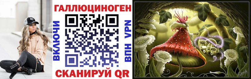 Псилоцибиновые грибы ЛСД  Ессентукская 